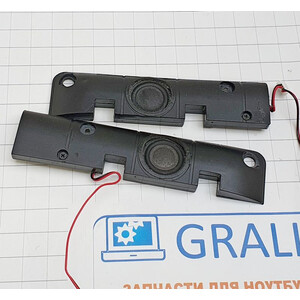 Динамики ноутбука DNS X300