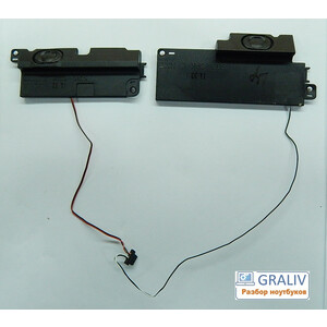 Динамики ноутбука DNS SWHA