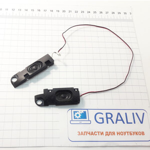 Динамики ноутбука DNS M100PM100-2514