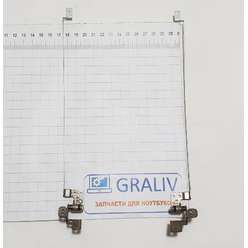 Петли ноутбука DNS A24HB, 13N0-XRN02X2 13N0-XRN03X2