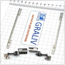 Петли ноутбука Asus Eee PC 1008P